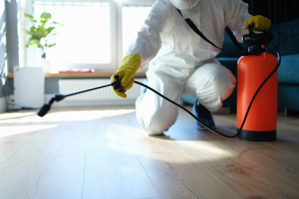 Reliable Odor Removal contractor in Bethpage, NY by Trauma Clean Pros